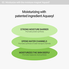 Rovectin Clean Lotus Water Cream for Face