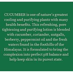 Biotique Cucumber Pore Tightening Toner