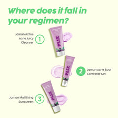 The Plant Fix Plix Jamun Acne Spot Corrector Gel