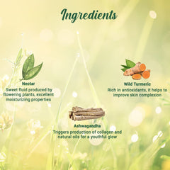 Biotique Morning Nectar Flawless Skin Moisturizer Lotion