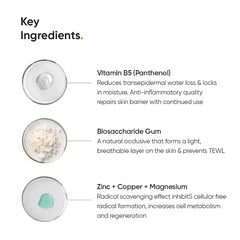 Minimalist Dehydrated Skin Moisturizer