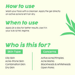The Plant Fix Plix Jamun Acne Spot Corrector Gel